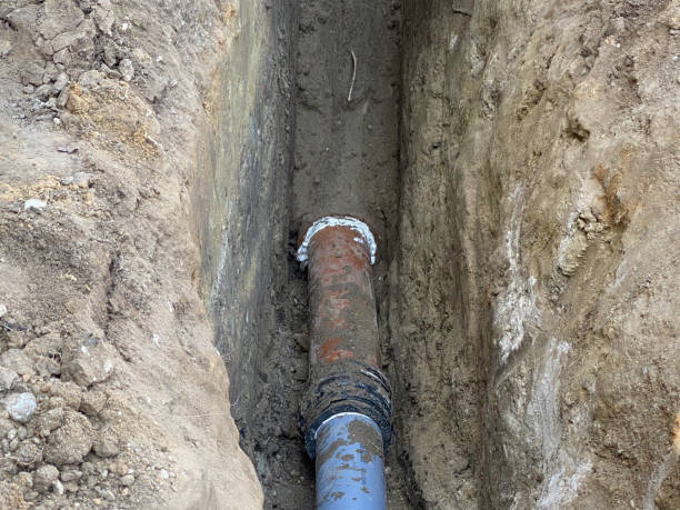 Best Basement water damage restoration  in Raleigh Hills, OR