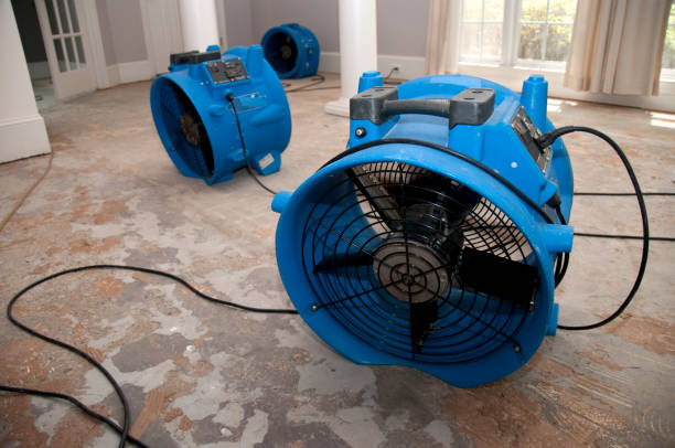 Professional Water damage restoration in OR